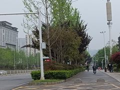 -华中科技大学光谷体育馆