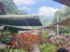 -华冠悠岚·庭院餐厅(青城后山店)