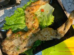 牛蛙-云晓光头烧烤吧(盛夏店)