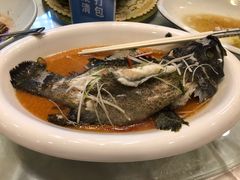 清蒸青斑鱼-聚春园自助餐厅(东街口店)