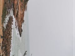 -广东惠东海龟国家级自然保护区