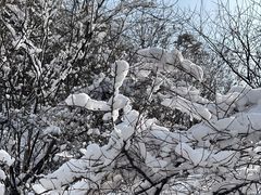 -秦岭风景区