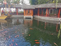 -香麒园·过桥米线·南湖雅宴