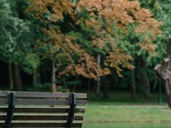 -上海共青森林公园