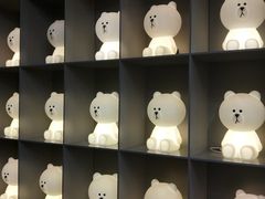 -line friends(明洞旗舰店)