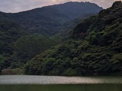 -黄埔油麻山森林公园