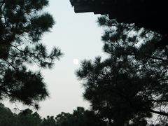 -黄牛肉馆·皖南土菜