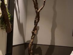 -上足·影院足道·SPA(红岭店)