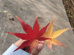 -济南植物园