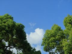 -台州府城(东湖)