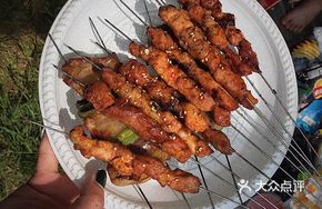 Binxin Lamb Skewers