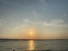 -宝安西湾红树林湿地公园