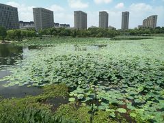 -海天湖公园