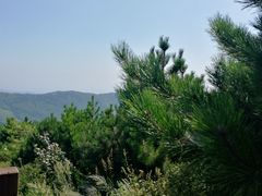 -阳台山自然风景区