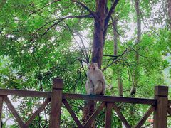 -黔灵山公园