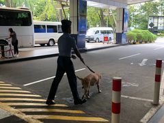-班达拉奈克国际机场