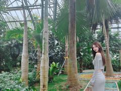 -南山植物园