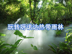 -呀诺达热带雨林