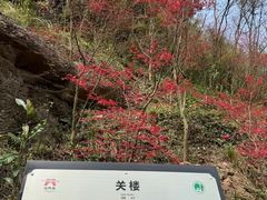-剑门关风景区