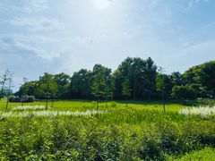 -昆山城市生态森林公园