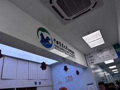 -中国农业大学动物医院