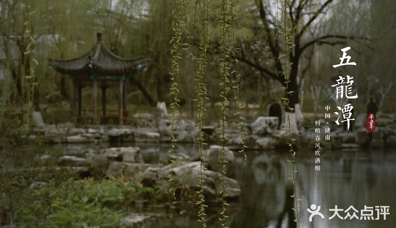 济南三月赏花指南丨五龙潭