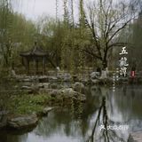 济南三月赏花指南丨五龙潭