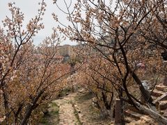 -瑜上·山食小馆