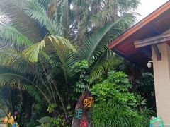 -呀诺达热带雨林