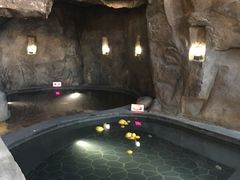 -裕龙汤泉
