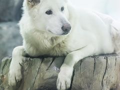 -大连圣亚海洋世界
