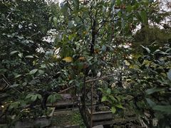 -水镜庄风景区