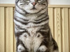 -Catmate·猫肥家润(金润铂宫店)