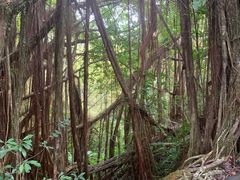 -夏威夷火山国家公园