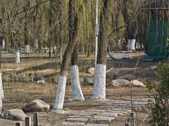 -桃花堤公园