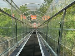 -巨石山景区