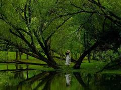 -上海共青森林公园