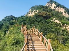 -大岭沟猕猴桃谷风景区