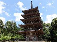 -醍醐寺