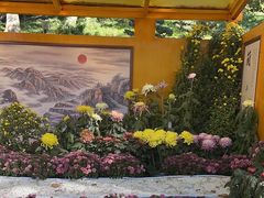 -惠山国家森林公园