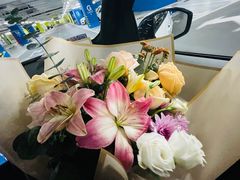 -上海永达捷豹路虎4S旗舰店