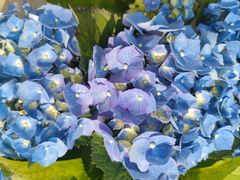 -海棠花溪(元大都城垣遗址公园)