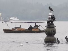 -西湖外事游船(花港观鱼码头)