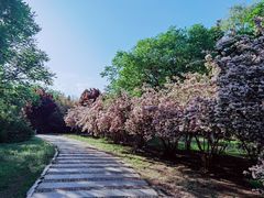 -太阳宫公园