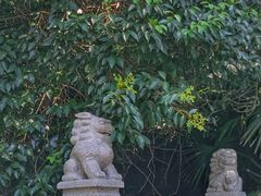 -阅江楼风景区