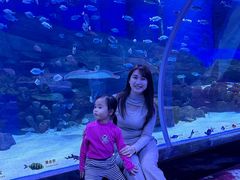 -顺德南宏海立方海洋公园