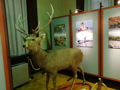 -北海道厅旧本厅舍(旧本庁舎)