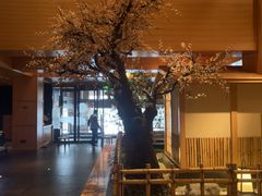 -北方暖暖温泉洗浴(沈阳北站店)