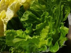 -探窝·竹笙椰子鸡(杨箕店)