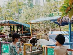 -美的鹭湖森林度假区